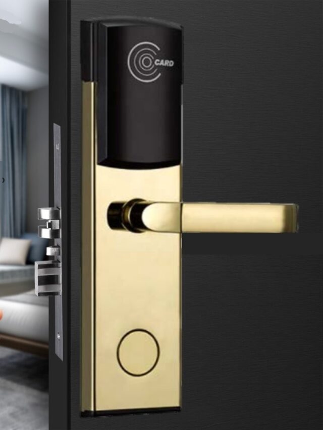 Electronic Smart Door Locks